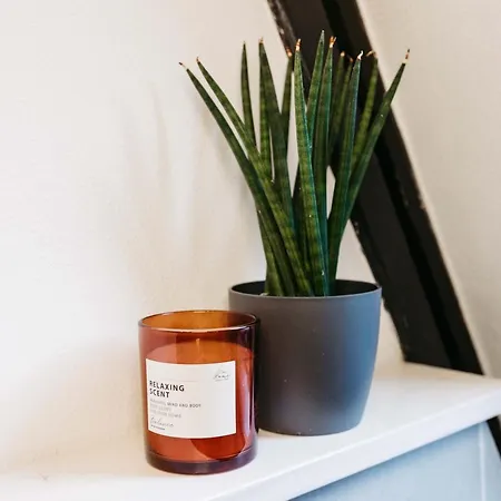 Gemuetliches Nurdachhaus Im Naturparadies Mit Sauna - Erholung Pur Bad Wünnenberg