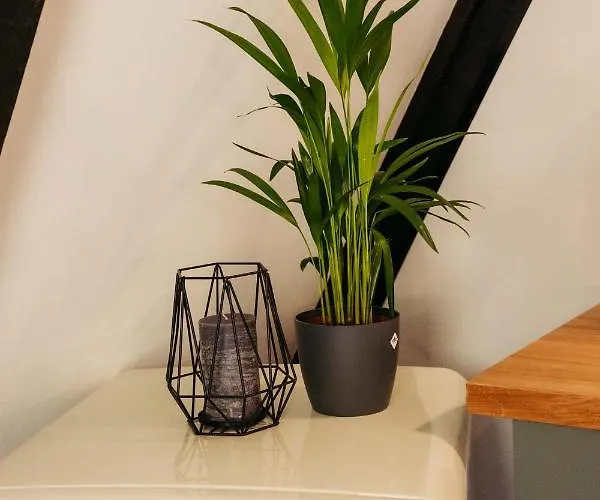 Gemuetliches Nurdachhaus Im Naturparadies Mit Sauna - Erholung Pur 度假居 Bad Wünnenberg