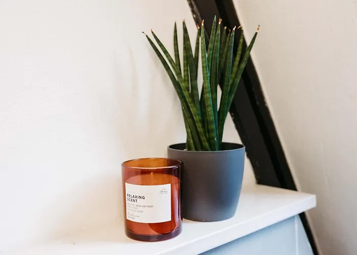 Gemuetliches Nurdachhaus Im Naturparadies Mit Sauna - Erholung Pur Bad Wünnenberg